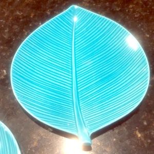 Medium size appetizer plates